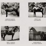 Jim Alexander article