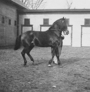 welcomeoldboxofmorgans