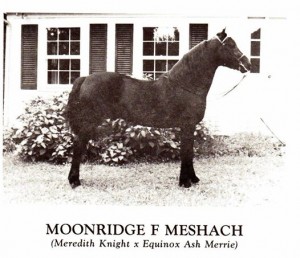 moonridgefmeshach