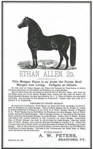 ethanallen2dflyer
