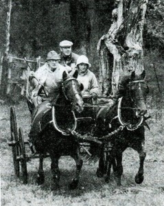 lippittmintyanddaisymintatmyopiadriving