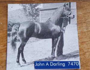 johnadarlingmagnet