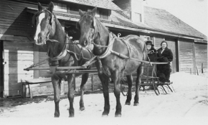 hippolytaandroseofsutton