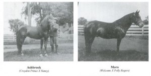 ashbrookandnancyphotoforfridayflshbk