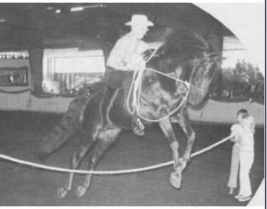 dyberryrobinjumpingrope