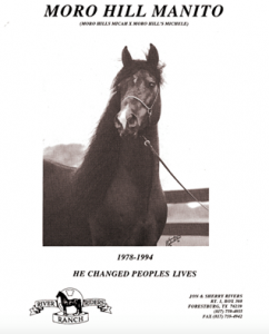 morohillmanitoad1994