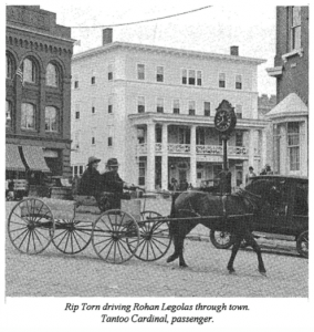 riptornandrohanlegolas