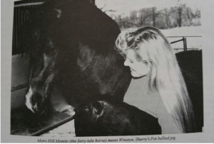 manitoandsherryrivers