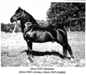 morohillmemento