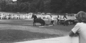 stillwaterindigoatbige