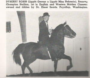 dyberryrobinundersaddle