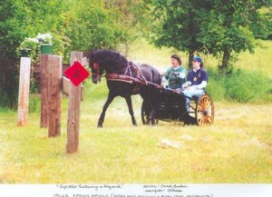 bluesprucemorgansdriving